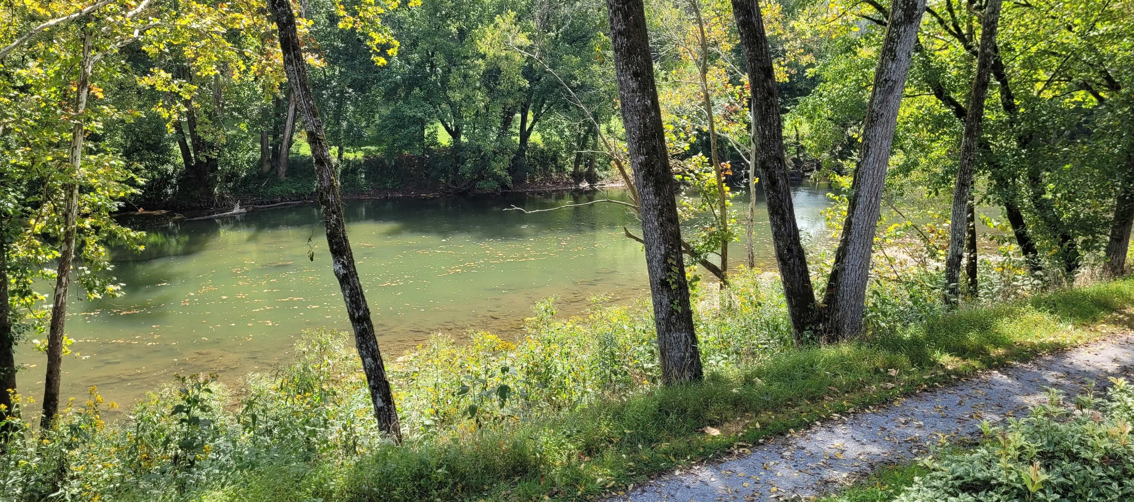 Trail in woods by Eno River